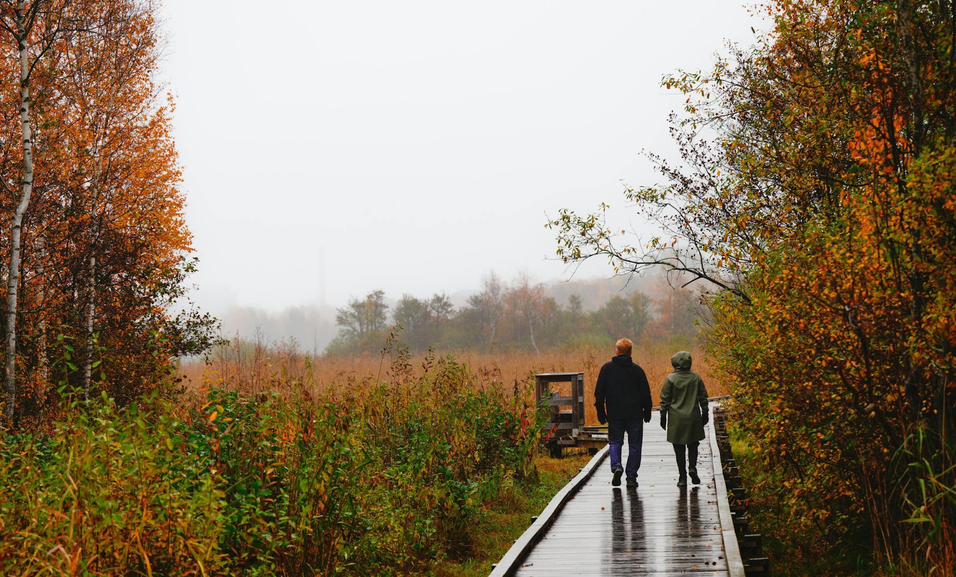 Persona realizando una caminata matutina